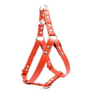 Red Cork Dog Harness