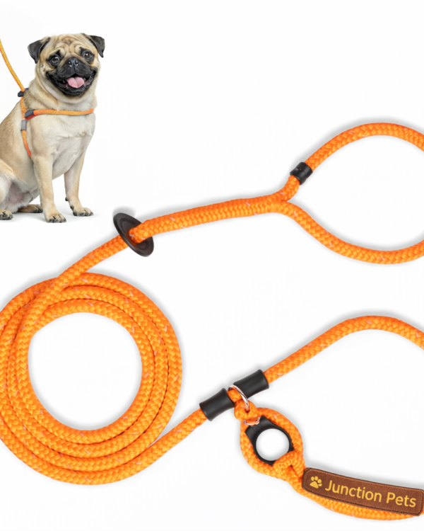 Junction Pets Adjustable No-Pull Dog Harness & Leash Set – Breathable Reflective Harness for Safe Dog Walking