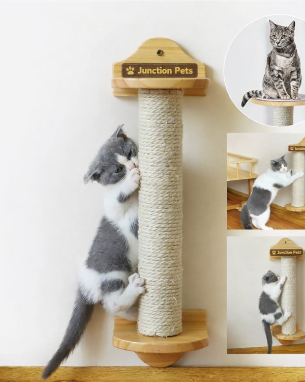 Junction Pets Durable Cat Scratching Post – Sisal Rope Scratch Tower with Plush Base