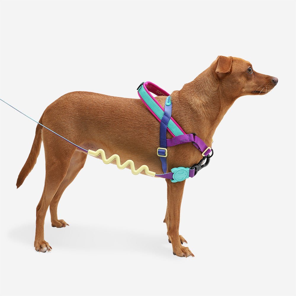 Shockwave | SofterWalk Harness - Image 3